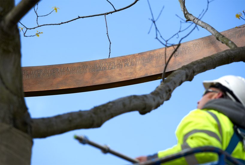 london 2012 olympic tree rings